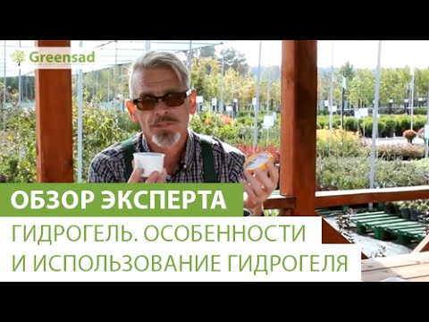 Видео: Гидрогель. Особенности и использование гидрогеля