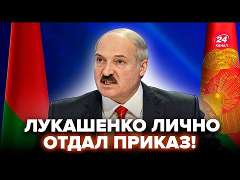 Видео: 😳Жуткую ТАЙНУ ЛУКАШЕНКО слили в сеть! Он попался. РАСКОПАЛИ ТАКОЕ, что все в шоке @BELPOL