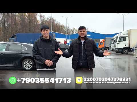 Видео: 14 октября 2025 г.