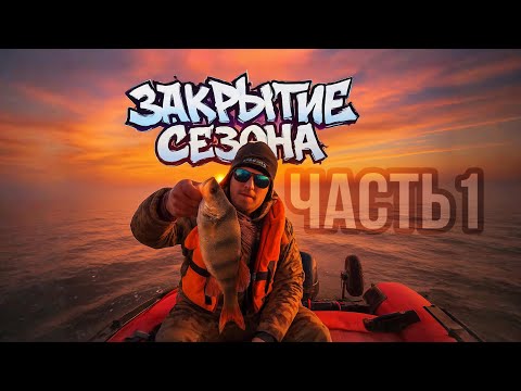 Видео: РАЗДАЧА ОКУНЯ НА ЛАДОГЕ/Осенняя рыбалка на ладожском озере/Креницы