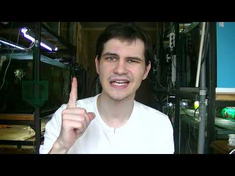 Видео: Опыт применения и эффективности Хлорамина Т.