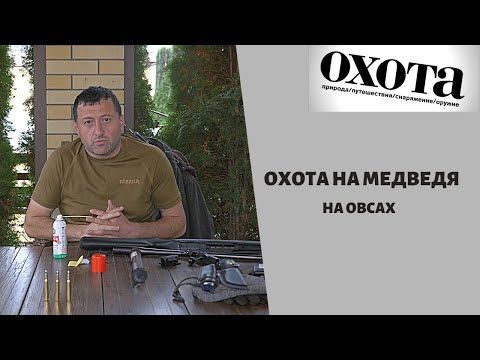 Видео: Охота на медведя. Охота на овсах