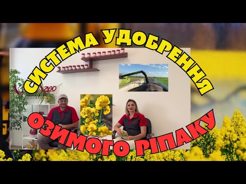 Видео: Удобрення озимого ріпаку. Що, коли та як?