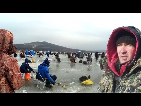 Видео: РЫБАЛКА ЗИМОЙ НА ПОПЛАВОК И САМОДУР! Зубарь навага в устьях по первому льду!