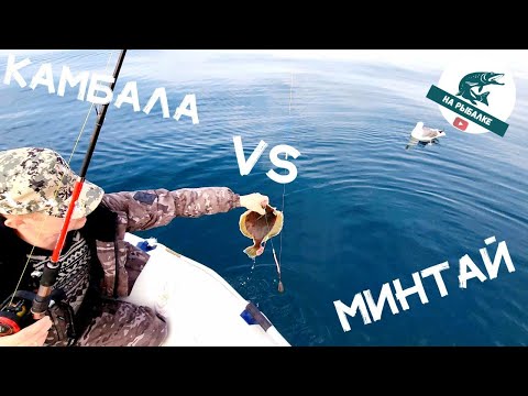 Видео: Наловили КАМБАЛЫ и МИНТАЯ, хотя его не ждали!)  РЫБАЛКА В МОРЕ. #камбала #минтай #приморскийкрай