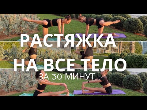 Видео: БЕЗОПАСНАЯ РАСТЯЖКА НА ВСЕ ТЕЛО ЗА 30 МИНУТ  / 3D тренировка