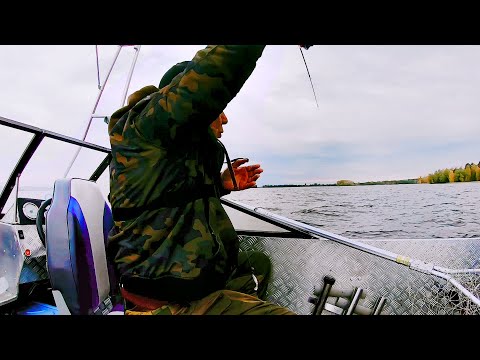 Видео: АЖ СНАСТИ УЛЕТАЮТ! НА ЧТО ЛОВИТЬ? Осень, Карелия, Онежское озеро.