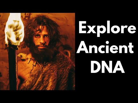 Видео: Что на самом деле означают совпадения вашей древней ДНК по результатам GEDmatch?