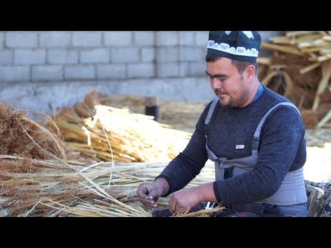 Видео: Супурги етиштириш машаққатли  ва сердаромад