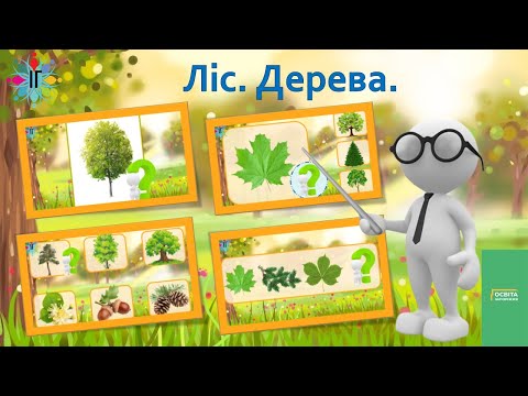 Видео: Ліс. Дерева.