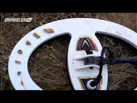 Видео: Успешный тест катушки Detech 18*12 Моно для металлодетектора серии  GPX