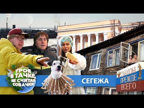 Видео: Трое в тачке, не считая собачки | Сегежа