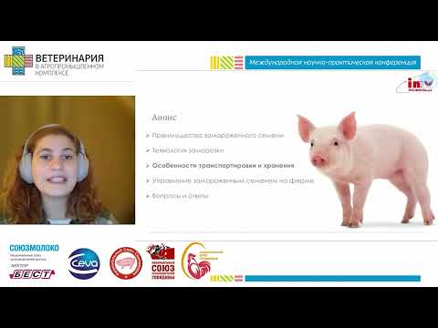 Видео: Паш Татьяна. Поставка замороженного семени и его использование