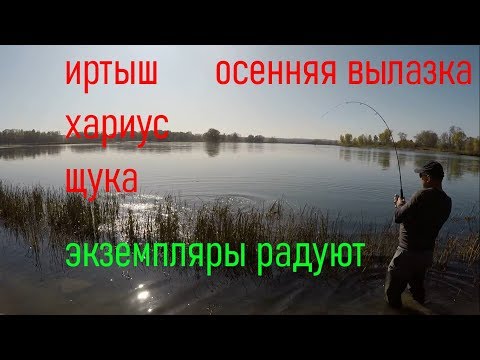 Видео: Две вылазки на реку Иртыш. Рыбалка на хариуса и щуку