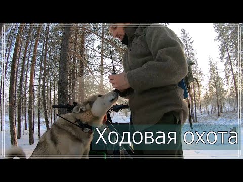 Видео: Поход в избу,проверка сруба с тёсаными стенами.