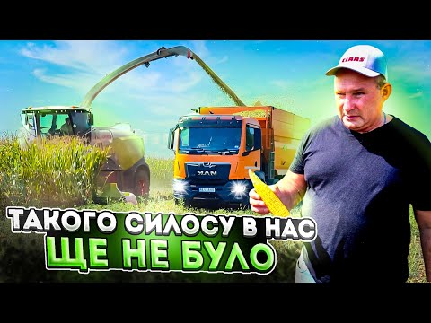 Видео: Збирання кукурудзи на силос Claas Jaguar 960 у Дніпрі. Якісний корм - вищі надої!