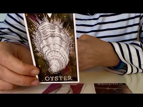Видео: ЛЕВ! Ноябрь 2025! Сокровище уже внутри! 