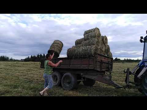 Видео: Сенокос 2020. Мини пресс. Часть 2