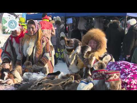 Видео: День оленевода 2023  Новые меры поддержки