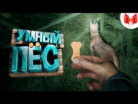 Видео: Blair Witch "Баги, Приколы, Фейлы"