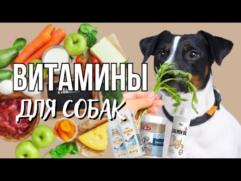 Видео: ВИТАМИНЫ - Нужны Ли Они Собакам? Как правильно и какие витамины подобрать? Полезные пищевые добавки