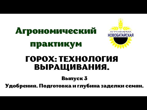 Видео: Горох. Технология выращивания. Выпуск 3. Удобрения. Подготовка и глубина заделки семян.