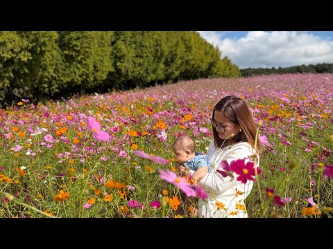 Видео: Поле Хнахсин цветет. ДЕНЬ ИЗ НАШЕЙ ЖИЗНИ