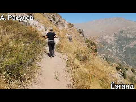 Видео: Сангвор. Тавилдара. Хуршеди Вахё