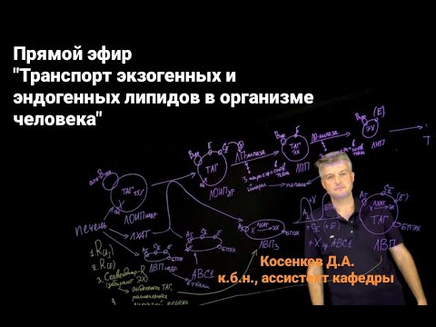 Видео: SmartLearn: Косенков Дмитрий "Транспорт экзогенных и эндогенных липидов в организме человека"