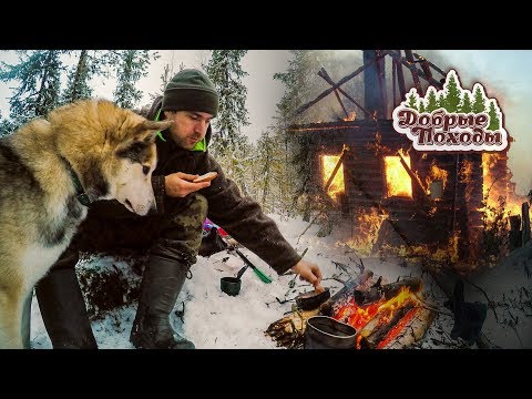 Видео: НАШЛИ ИЗБУ, НО ОНА СГОРЕЛА.🔥 ПОХОД В ЛЕС. 🌲 ДОБРЫЕ ПОХОДЫ.
