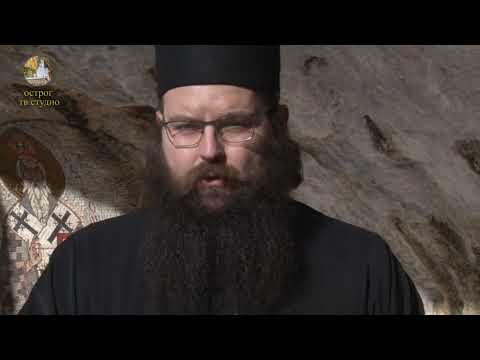 Видео: 9. Чудесна исцјељења Светог Василија Острошког Чудотворца -  јеромонах Роман, 26.01.2024.љ.Г.