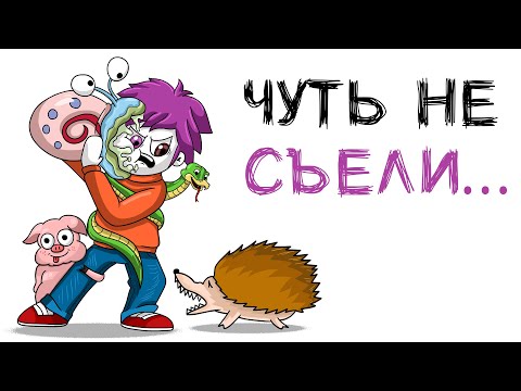 Видео: МОИ ДОМАШНИЕ ПИТОМЦЫ 2 (анимация МЭТ)