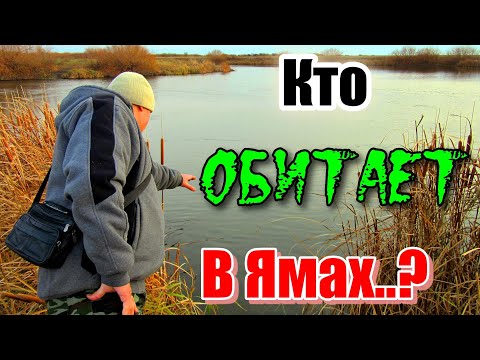 Видео: КТО ОБИТАЕТ В ДИКИХ ЯМАХ...??? Рыбалка река Ишим 2023. #рыбалка #казахстан #ишим #река #щука