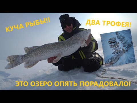 Видео: Рыбалка в Казахстане. МНОГО РЫБЫ/ДВА ТРОФЕЯ! Рыбалка 2023