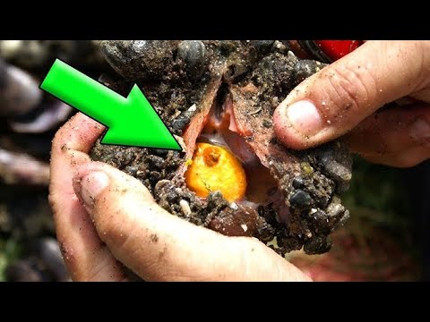 Видео: Находки, Которые Сделали Людей Миллионерами