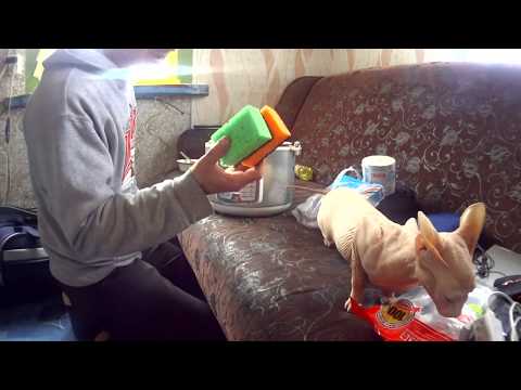 Видео: что брать с собой в чехию