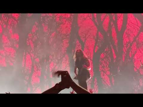 Видео: Алиса Красное на чёрном