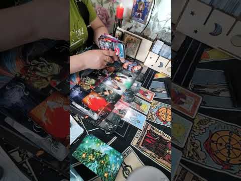 Видео: Кому вы хвост придавили?