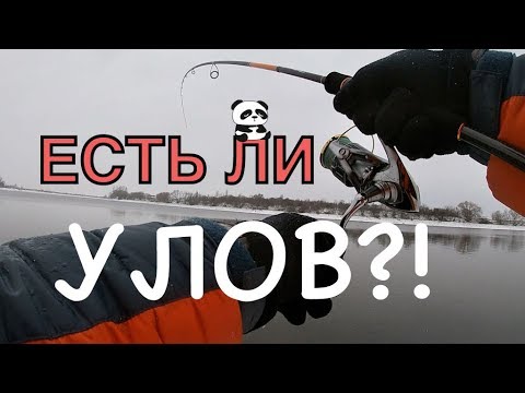 Видео: Зимний Спиннинг на Москва реке | Береговой Джиг