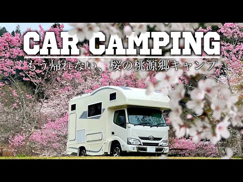 Видео: [Субтитры] Цветение сакуры в Японии | Van Life