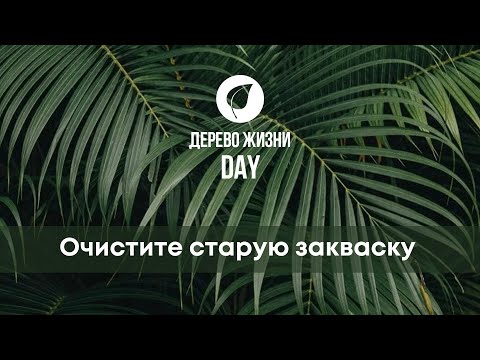 Видео: Очистите старую закваску