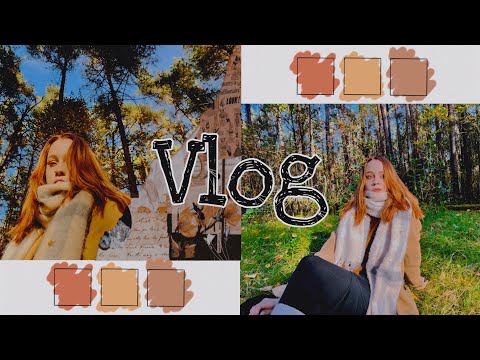 Видео: vlog: ностальгия, новая попытка, природа 