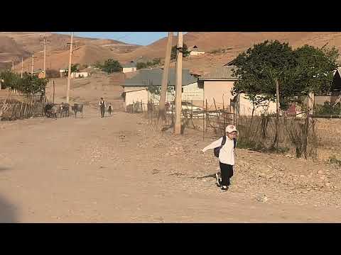 Видео: Жетим Добо айылы,эрте мененки корунуш.