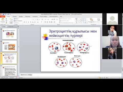 Видео: Ж.И.Сапарова-Қан жүйесінің физиологиясы