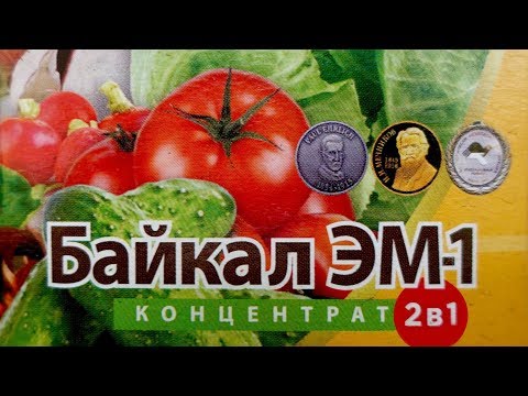 Видео: 10 ОШИБОК при ПОЛУЧЕНИИ РАСТВОРА И  ИСПОЛЬЗОВАНИЯ "БАЙКАЛ-ЭМ-1"