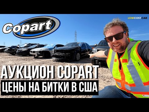 Видео: Обзор Битков на Аукционе Copart | Цены на Авто в США 2025 | Выгодно Покупать или Нет?
