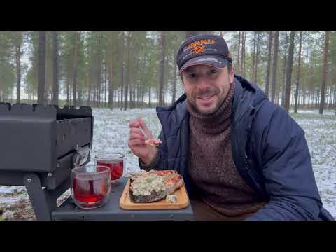Видео: Первый снег. Мангал "Дипломат". Готовим рыбу на гриле.
