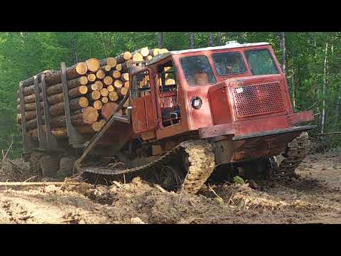 Видео: ТТ-4 зверь 💪! Вытаскиваем прицеп