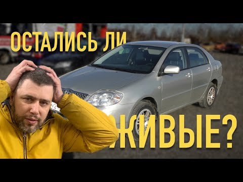 Видео: Такая себе. Toyota Corolla E12 за 250к