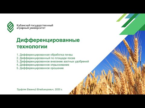 Видео: Лекция "Дифференцированные технологии"